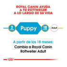 Royal Canin Puppy Rottweiler pienso para perros , , large image number null